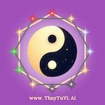 ThayTuVi.AI